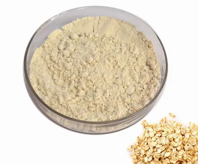 bulk oat protein powder wholesale.png